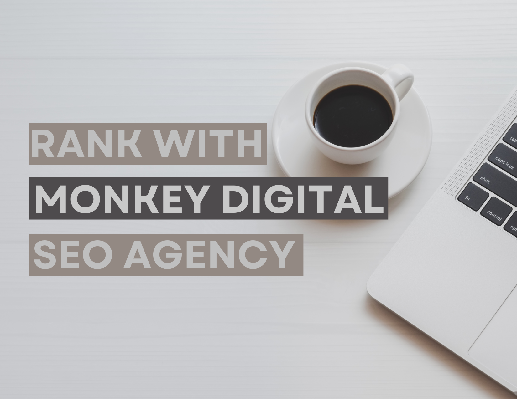 Boost Your Business Growth with Monkey Digital’s Local SEO & Advertising